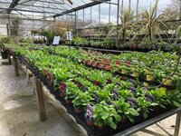 Trade Supplies & Garden Consulting Services