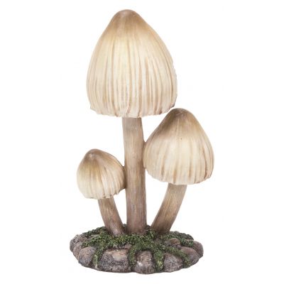 Wild Mushrooms Large
