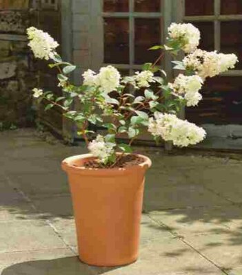 Yorkshire Flower Pot - Tall Flowerpot - 40cm tall